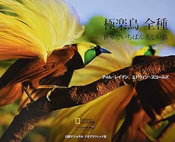 鳥好きっ! 81tAagWxg+L._UF350,350_QL50_.jpg